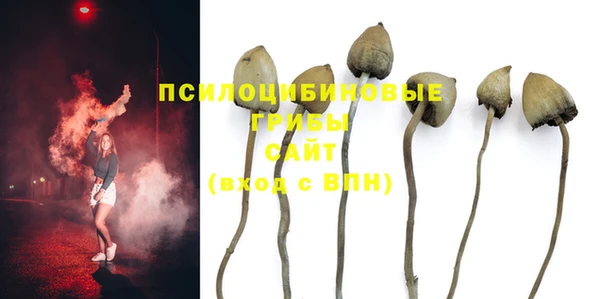 ALPHA-PVP Медвежьегорск