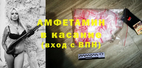 гидра Мегион